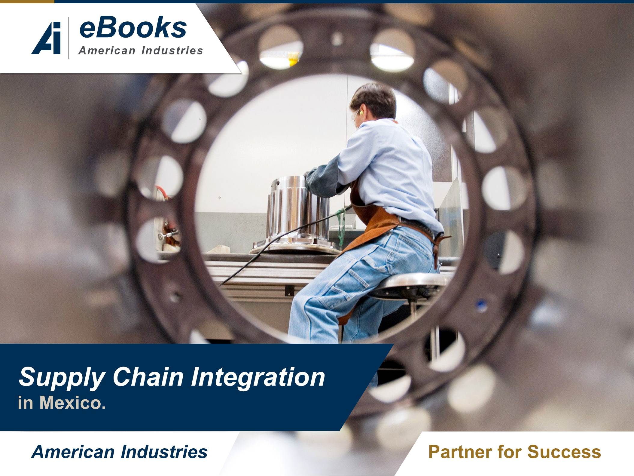 Supply chain integration in Mexico Supply Chain Integration in Mexico - Supply chain integration in Mexico