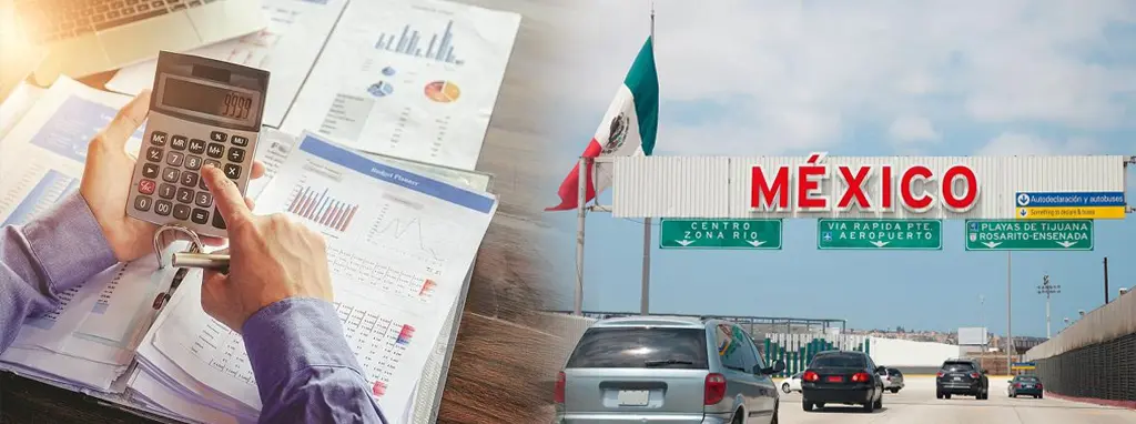 IMMEX Program