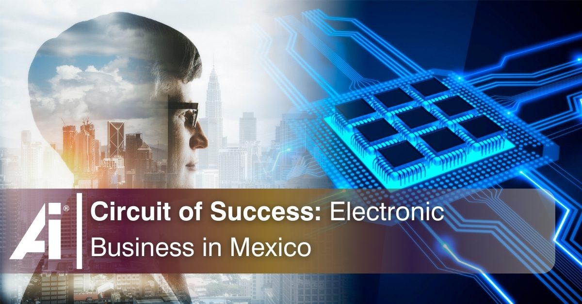 Circuit of Success: Electronic Business in Mexico